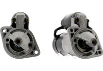 Startmotor (Gereviseerd)