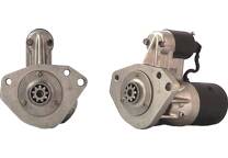 Startmotor (Gereviseerd)