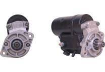 Startmotor (Gereviseerd)