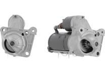 Startmotor (Gereviseerd)