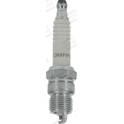 Spark plug (per unit) CHAMPION - CCH406