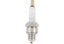 Spark Plug (per unit)