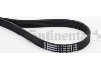 Cinghia Poly-V