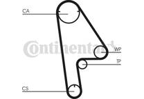 Correa distribución