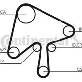 Correa distribución CONTITECH - CT1136