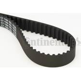 Correa distribución CONTITECH - CT1168