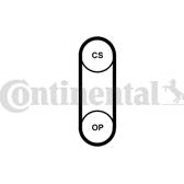 Correa distribución CONTITECH - CT1204