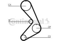 Correa distribución