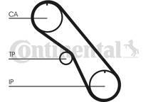 Correa distribución