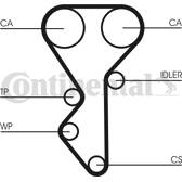 Correa distribución CONTITECH - CT955