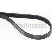 Correa trapecial poli V CONTITECH - 6PK1173