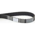 Correia de distribuição CONTITECH - CT1070