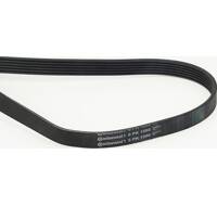 Courroie Poly-V SKF VKMV 6DK1841 - Compatible VOLVO V70 II - 3