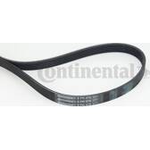 Courroie d'accessoire CONTITECH - 6PK976