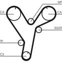 Distributieriem CONTITECH - CT1080