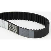 Distributieriem CONTITECH - CT1123