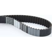 Distributieriem CONTITECH - CT954
