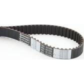 Distributieriem CONTITECH - CT955