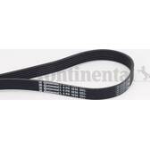 Drivrem CONTITECH - 6PK1836