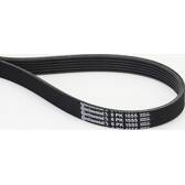 Flerspårsrem CONTITECH - 6PK1555
