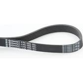 Flerspårsrem CONTITECH - 6PK1560