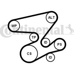 Kit de courroies d'accessoire CONTITECH - 6PK2080K1