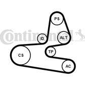 Multiriemen CONTITECH - 6PK1564K1
