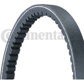 Poly V-riem CONTITECH - 11,9X903Ld