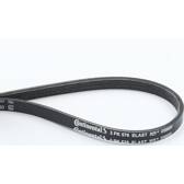Poly V-riem CONTITECH - 3PK576 ELAST