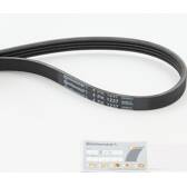 Poly V-riem CONTITECH - 4PK1237