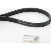 Poly V-riem CONTITECH - 5PK1105