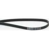 Poly V-riem CONTITECH - 5PK1212