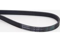 Poly V-riem