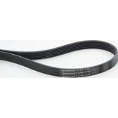 Poly V-riem CONTITECH - 6PK1100