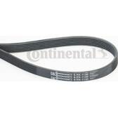 Poly V-riem CONTITECH - 6PK1130
