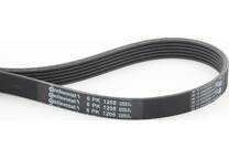Gates Poly V-riem set voor o.a. Fiat - K017PK1236, 5400608625431