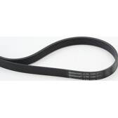 Poly V-riem CONTITECH - 6PK1244