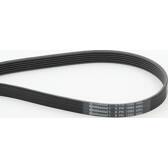 Poly V-riem CONTITECH - 6PK1580