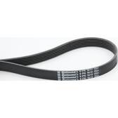 Poly V-riem CONTITECH - 6PK1613