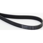 Poly V-riem CONTITECH - 6PK1893