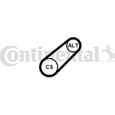 Poly V-riem CONTITECH - 6PK799 ELAST