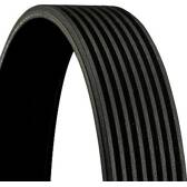 Poly V-riem CONTITECH - 8PK1226