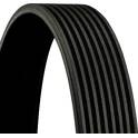 Poly V-riem CONTITECH - 8PK2155