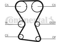 Timing Belt Kit