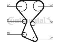 Timing Belt Kit