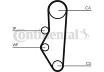 Timing Belt Kit