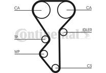 Timing Belt Kit