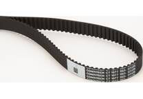 Gates PowerGrip Belt - 5603XS | UK