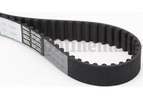 Timing Belt