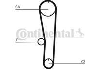 Timing Belt